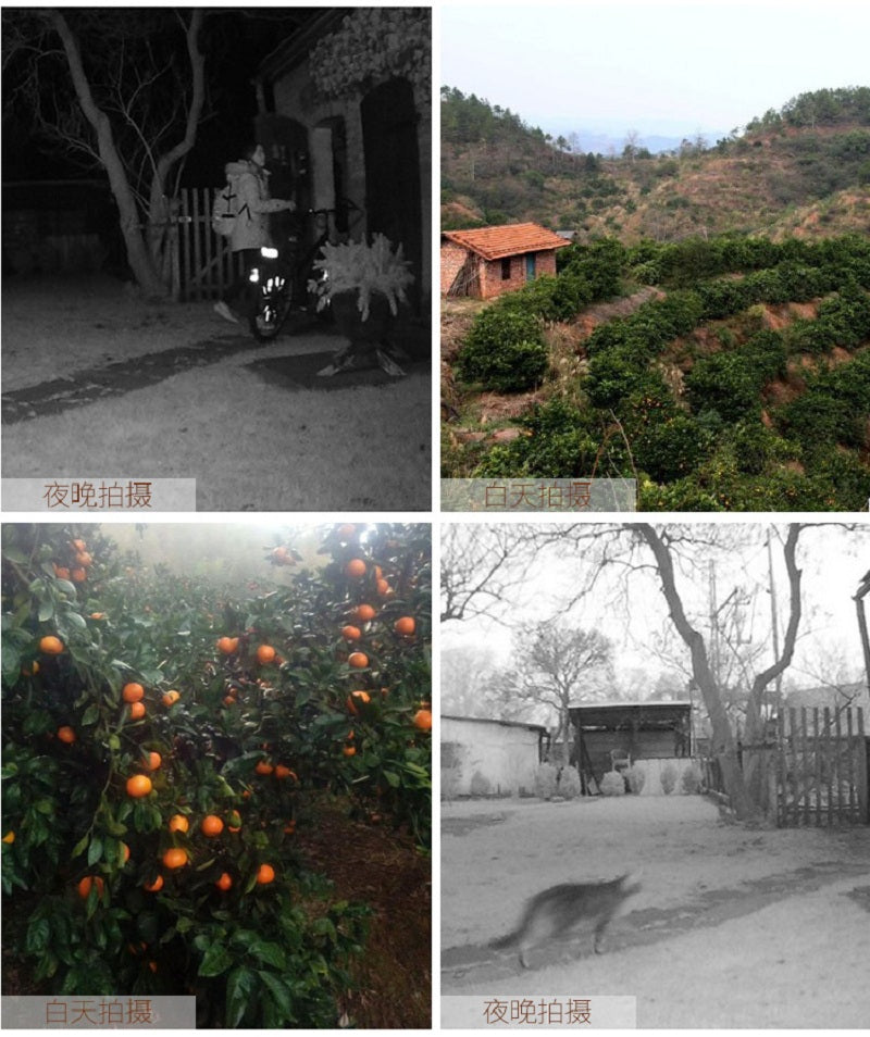 Cámara de caza al aire libre, cámara de seguimiento de Vida Silvestre, Cámara de vigilancia, HD, cámara nocturna impermeable, cámara infrarroja, visión nocturna, trampa para fotos de 12MP y resistente al agua